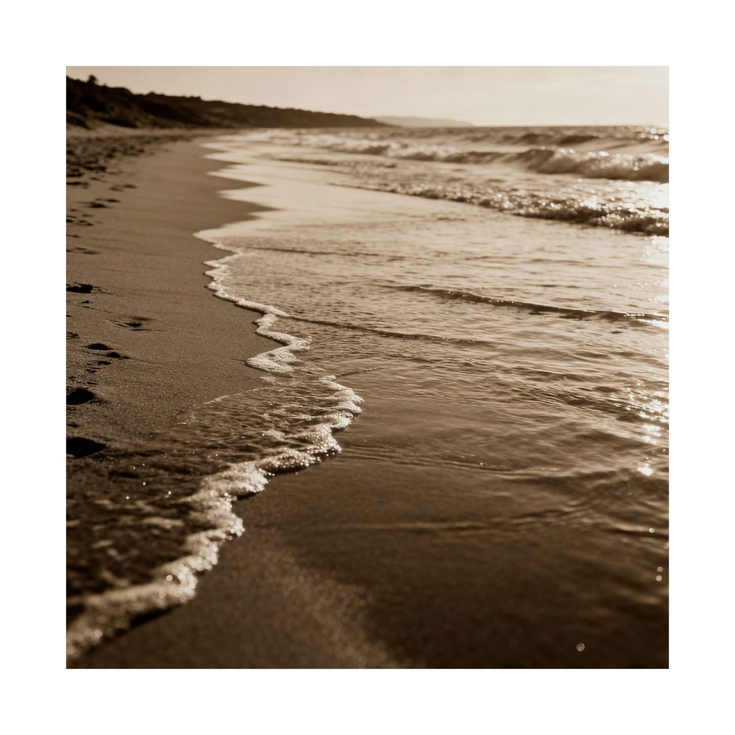 Digital download Sepia Beach Photo Matte Poster