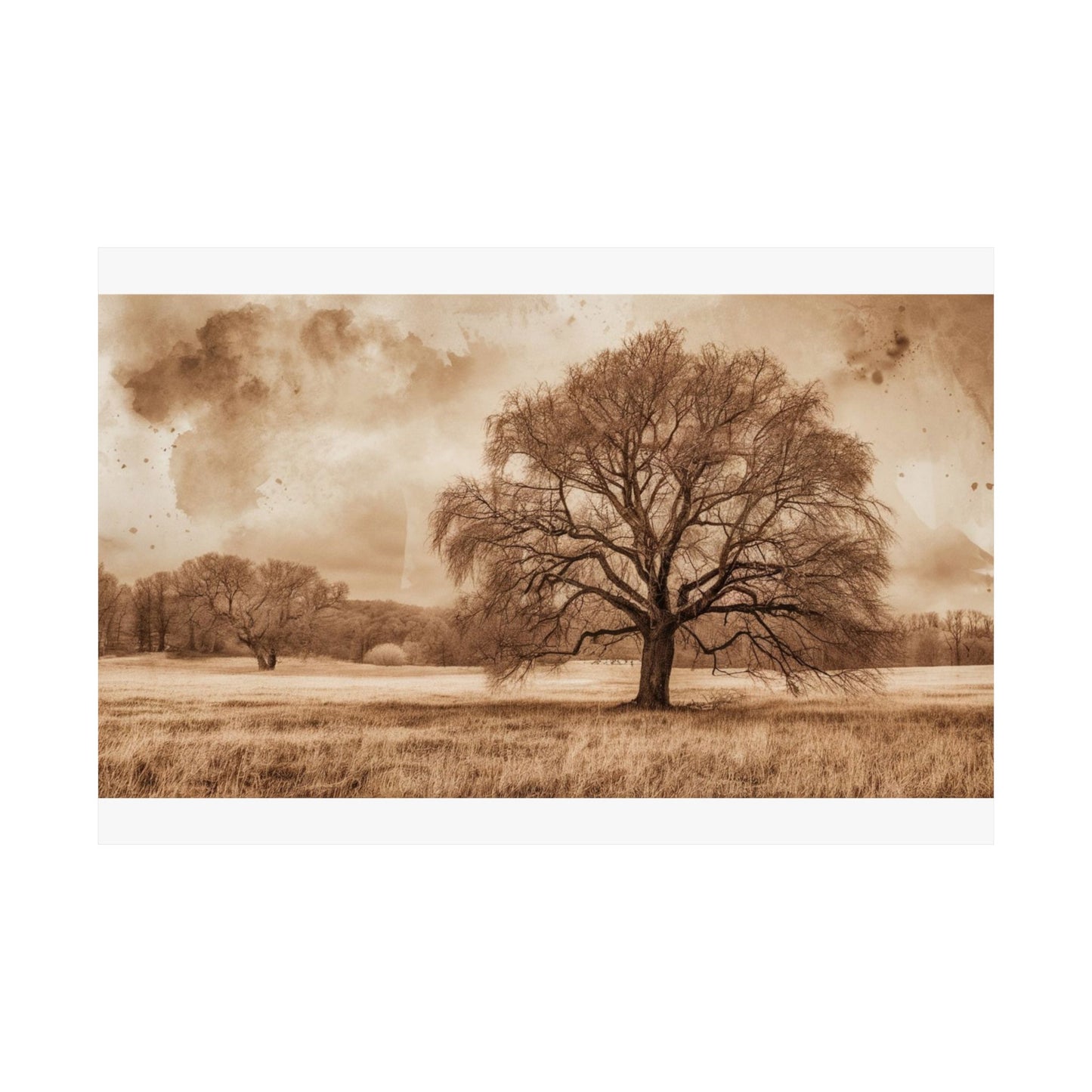 Digital download Rustic Nature Poster, Wall Decor, Earthy Aesthetic, Tree Art Print, Home Decoration, Nature Lover Gift