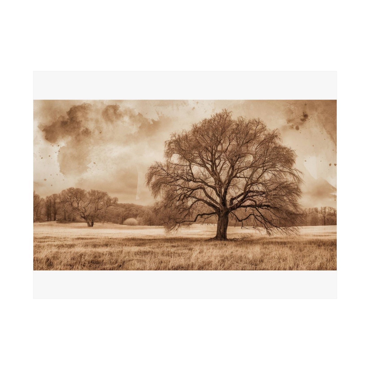 Digital download Rustic Nature Poster, Wall Decor, Earthy Aesthetic, Tree Art Print, Home Decoration, Nature Lover Gift