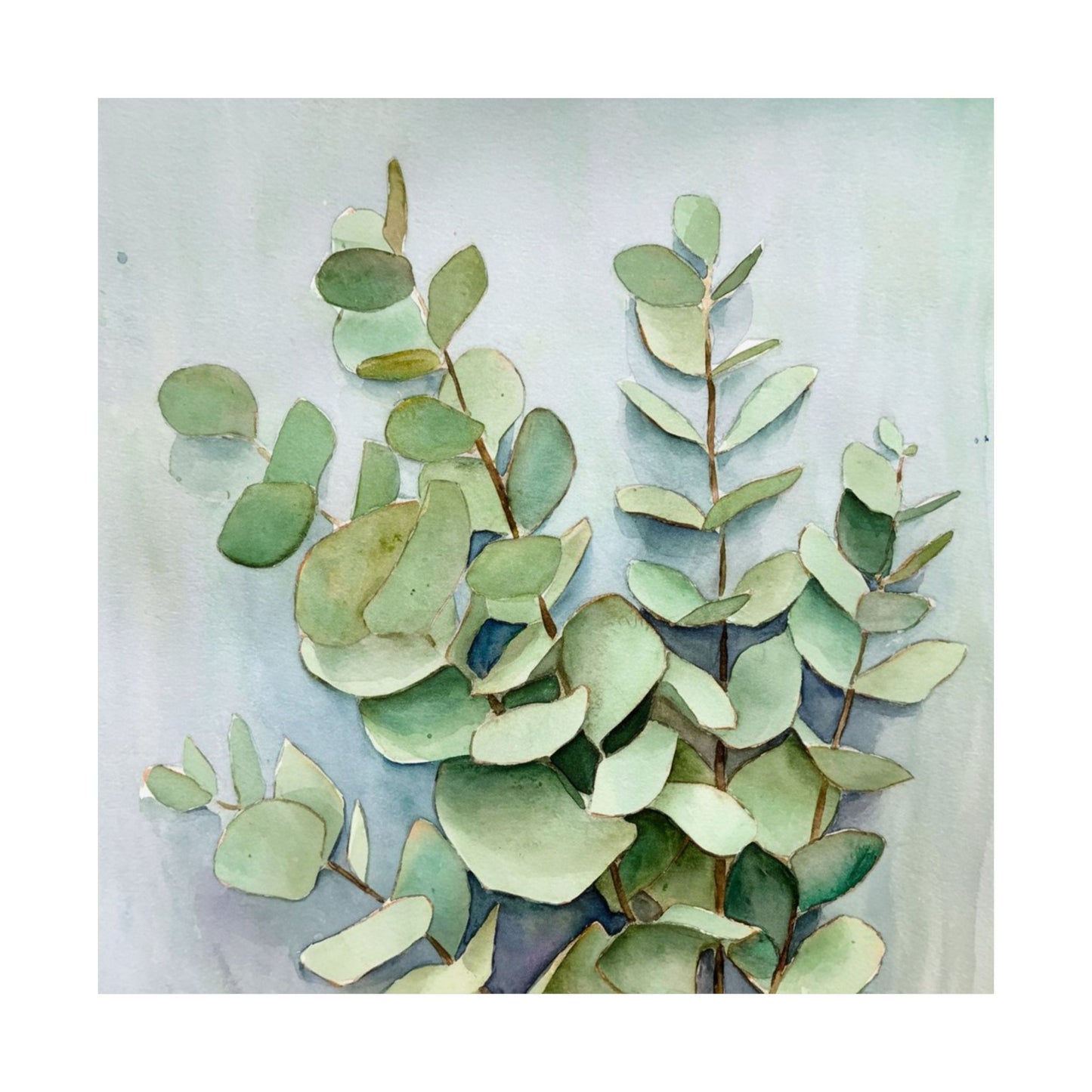 Póster de eucalipto para pared, póster mate para decoración del hogar, decoración inspirada en la naturaleza, arte mural moderno, láminas botánicas