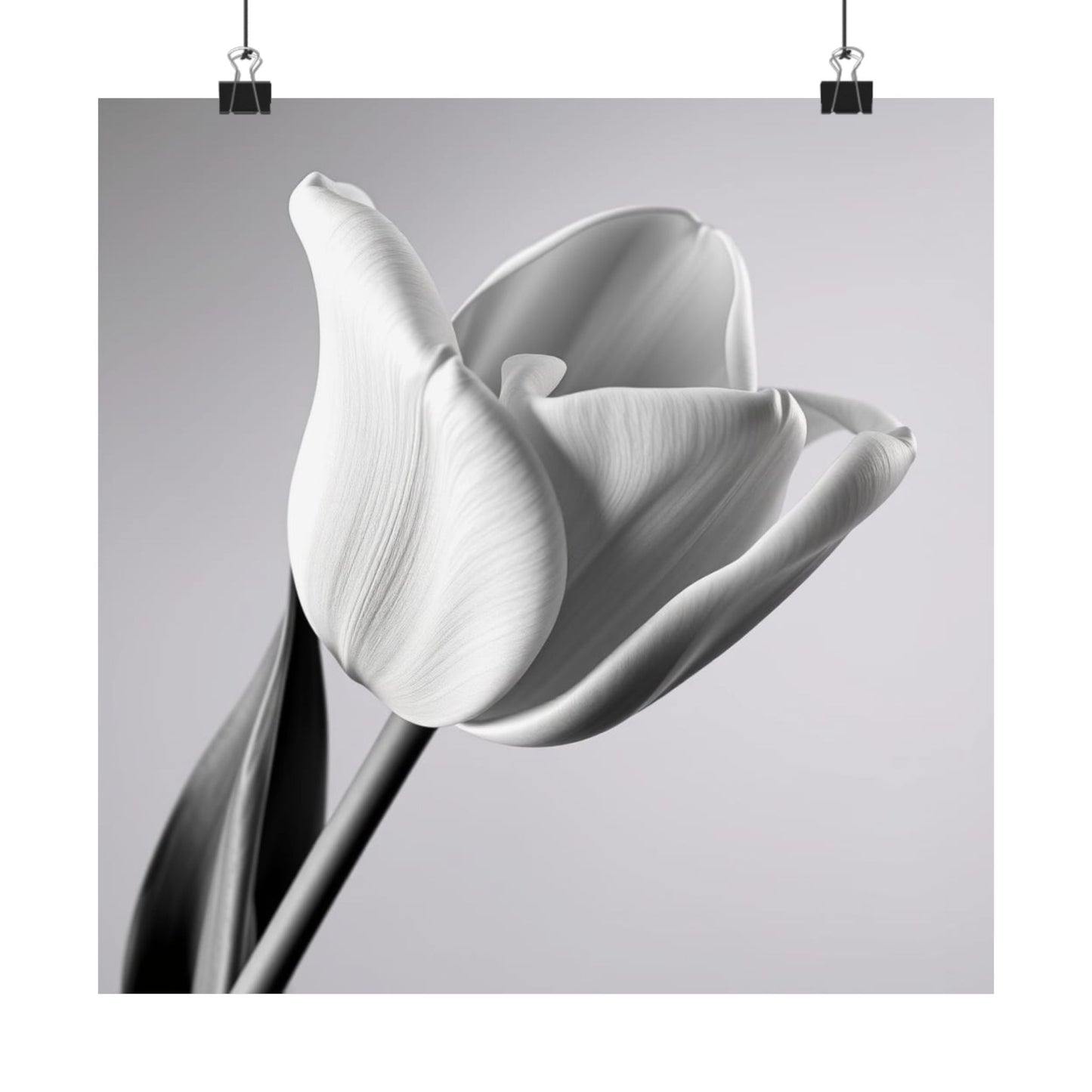 Elegant Floral Matte Poster, Minimalist Wall Art, Black and White Tulip Print, Home Decor, Gift for Flower Lovers, Modern Artwork