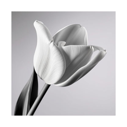 Elegant Floral Matte Poster, Minimalist Wall Art, Black and White Tulip Print, Home Decor, Gift for Flower Lovers, Modern Artwork