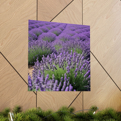 Pósteres mate de campo de lavanda, arte mural natural, decoración floral para el hogar, regalo para amantes de las plantas, impresiones de serenidad, decoración con lavanda