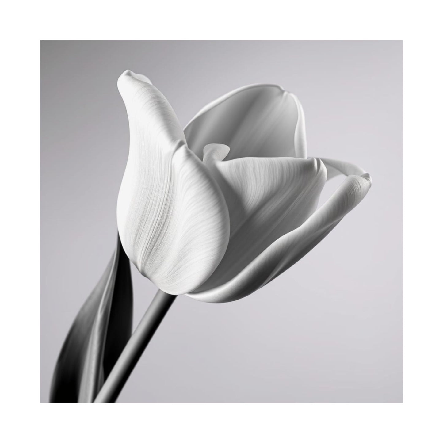 Elegant Floral Matte Poster, Minimalist Wall Art, Black and White Tulip Print, Home Decor, Gift for Flower Lovers, Modern Artwork