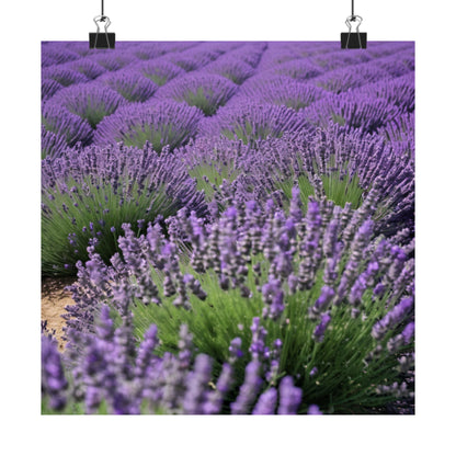 Pósteres mate de campo de lavanda, arte mural natural, decoración floral para el hogar, regalo para amantes de las plantas, impresiones de serenidad, decoración con lavanda